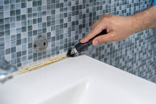 Best Fast Mold Removal  in Grape Creek, TX