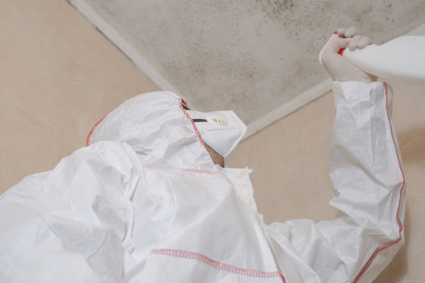 Best Mold Testing  in Grape Creek, TX