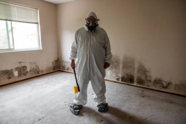 Best Mold Testing  in Grape Creek, TX